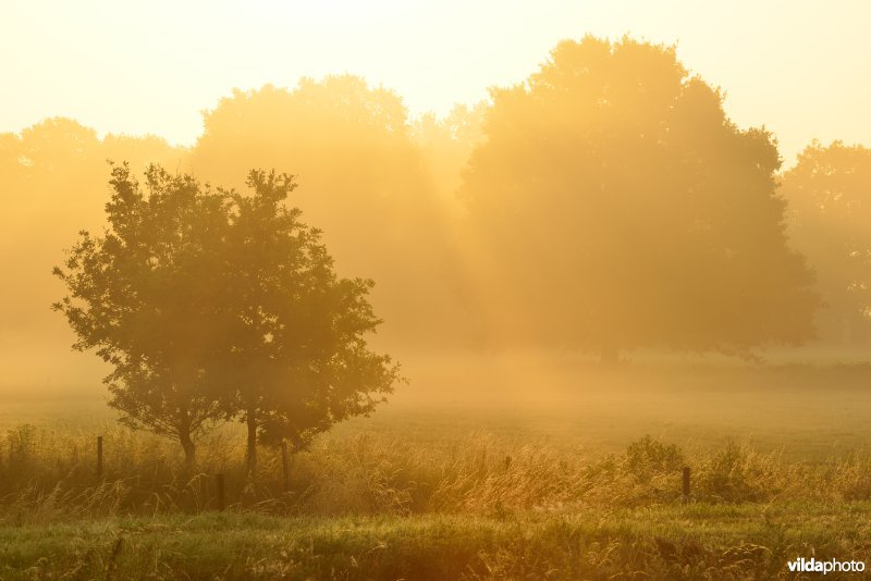 Vallei van de Grote Nete
