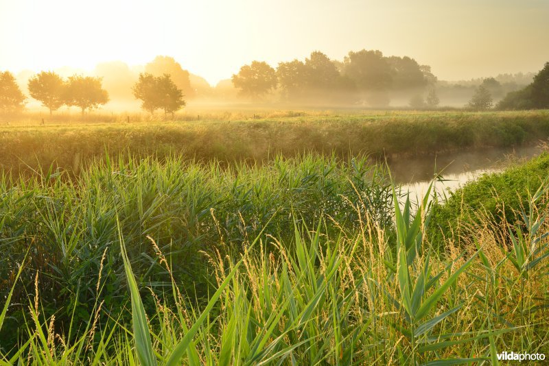 Vallei van de Grote Nete