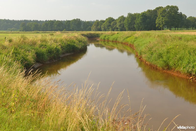 Grote Nete