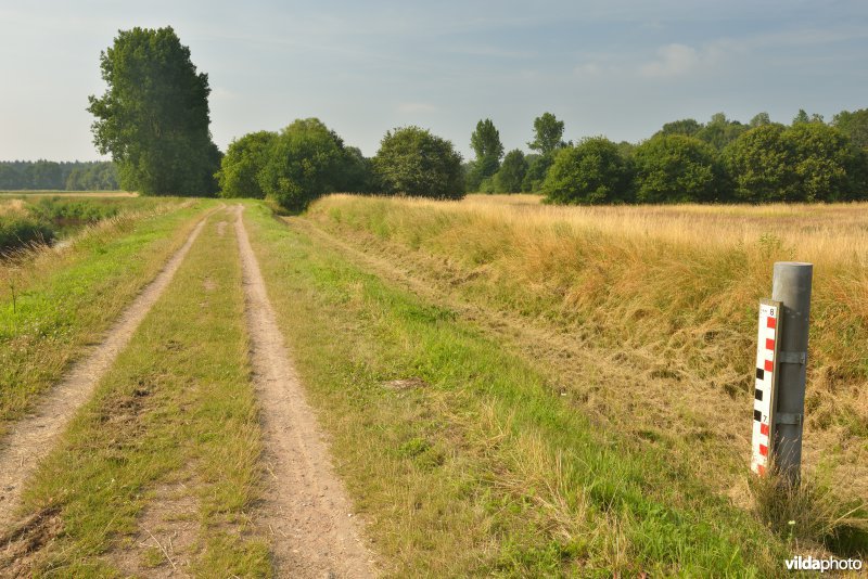 Vallei van de Grote Nete