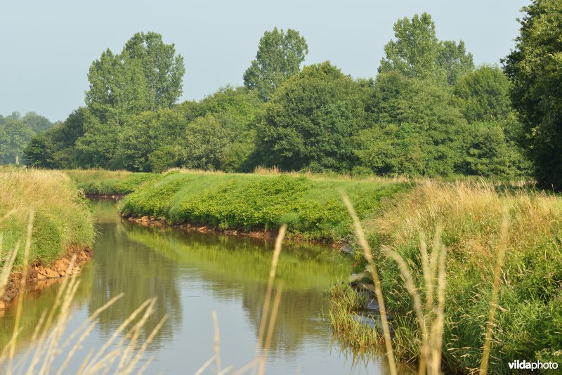 Grote Nete