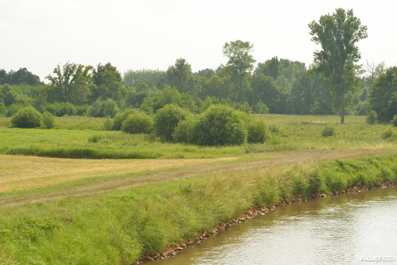 Vallei Zammelsbroek