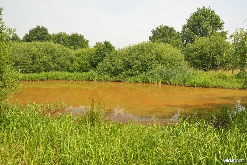 Natuurreservaat Zammelsbroek