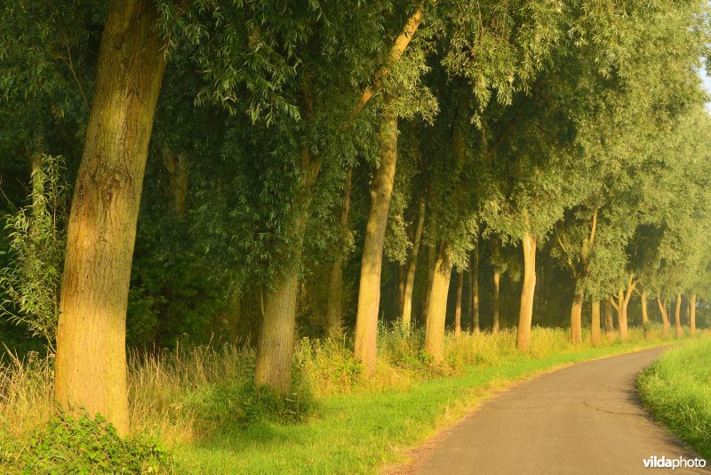 Oudbroekpolder