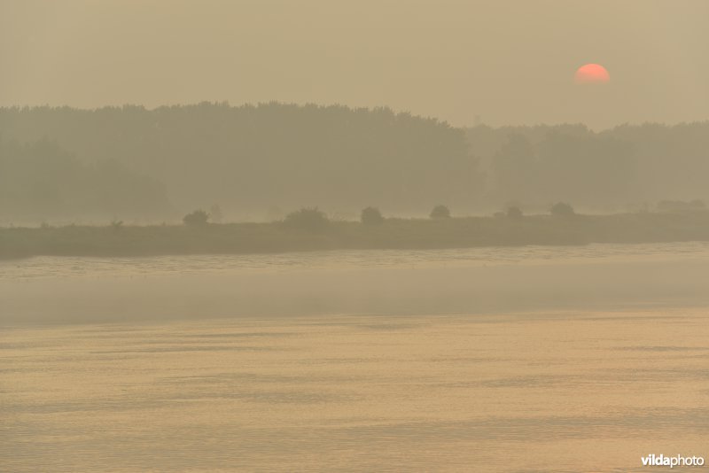 Schelde