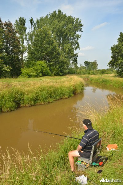 Visser aan de Grote Nete