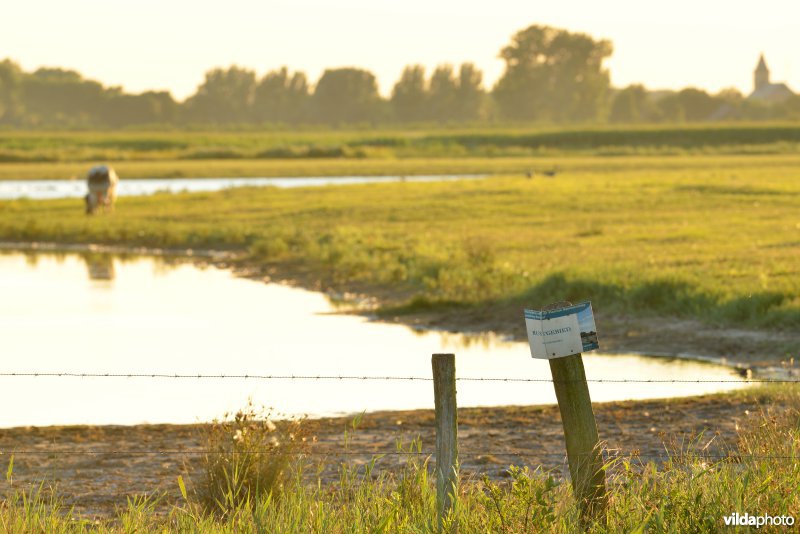 Putten West