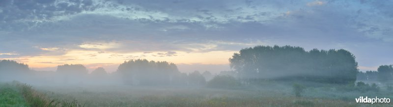 Bulbierbroek