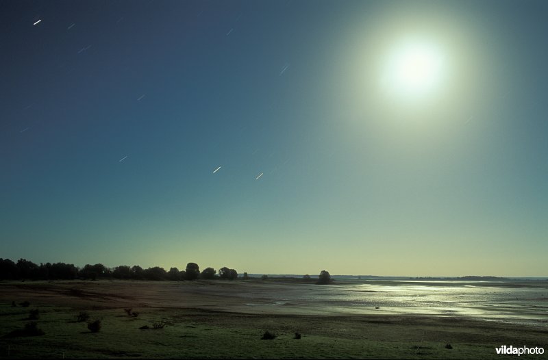 Lac du Der bij maanlicht