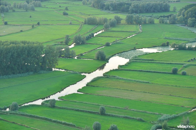 Scherenmeersen