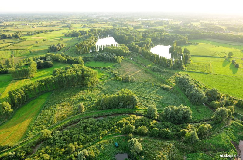 Bulbierbroek