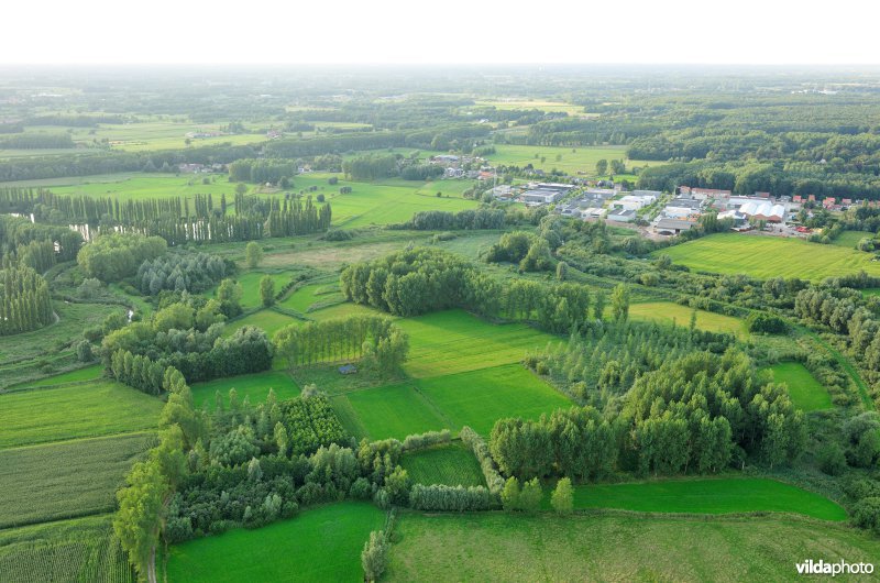 Bulbierbroek