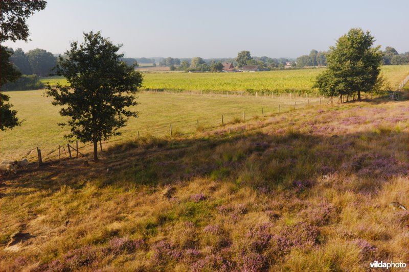 Lappendeken van natuur en landbouw