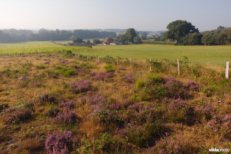 Lappendeken van natuur en landbouw