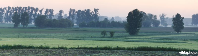 Ochtendlicht boven de Getevallei
