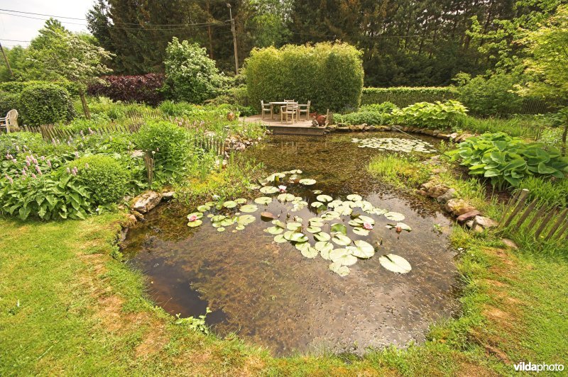Tuinvijver