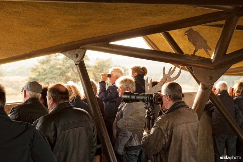 Bronsttoerisme op de Veluwezoom