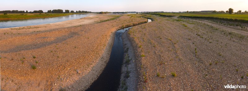 Nieuwe natuur langs de Maas