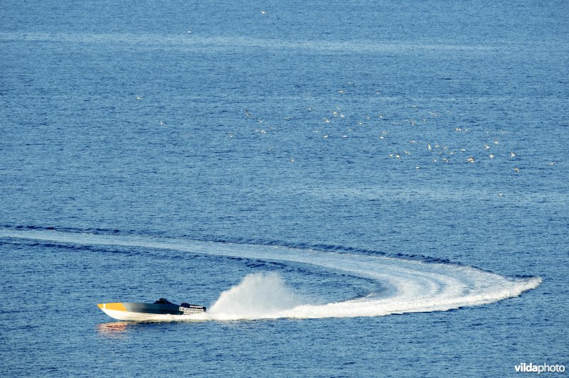 Powerboat op zee