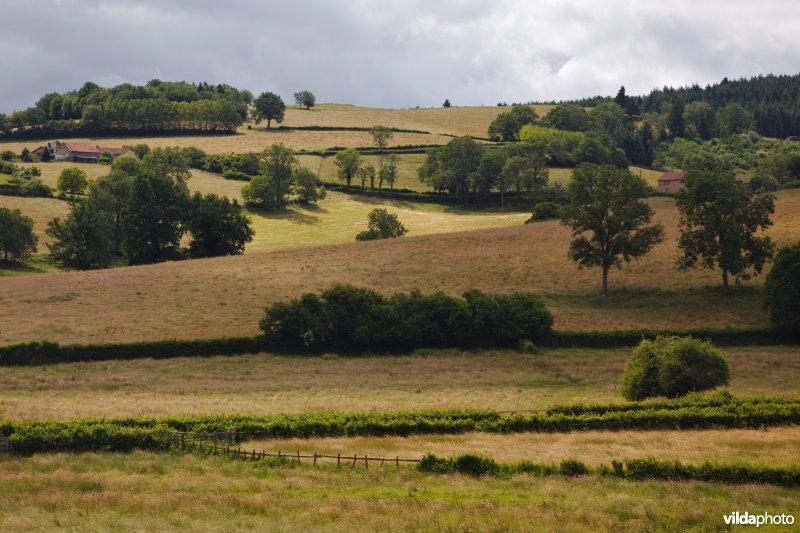 Kleinschalig landbouwlandschap