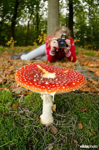 Meisje fotografeert vliegenzwam