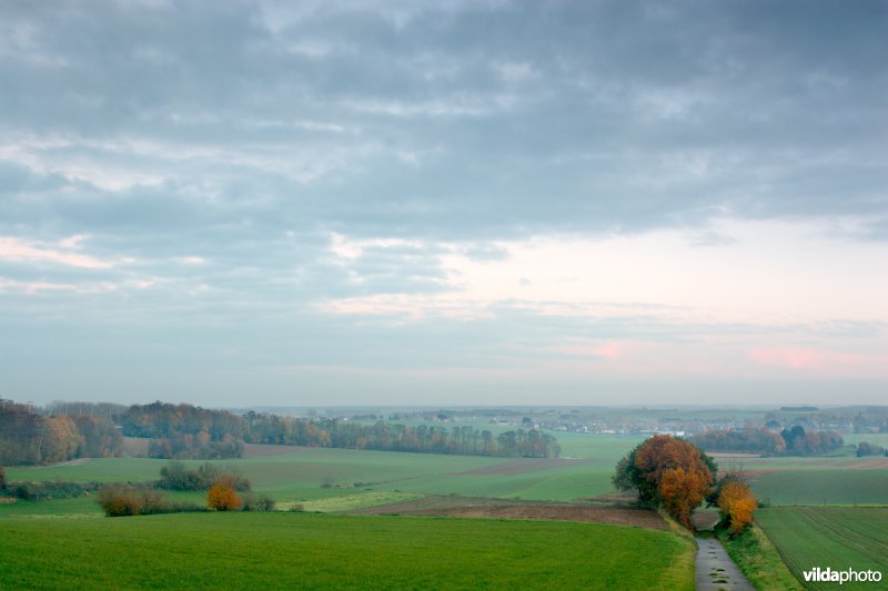 Holle weg tussen akkers