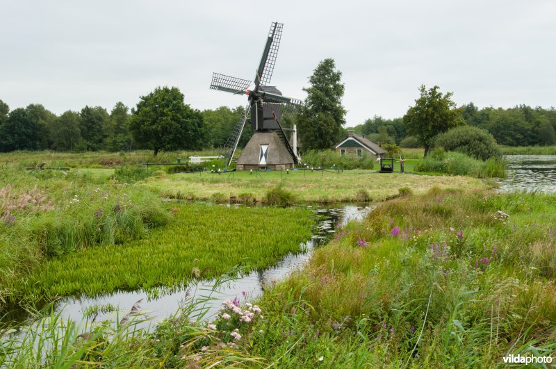 Molen in de Weerribben