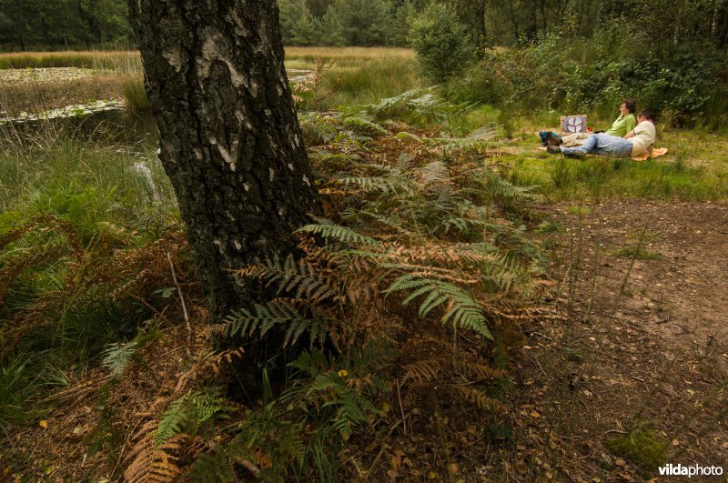 Een gezin rust uit en eet aan de oever van een ven in De Meinweg