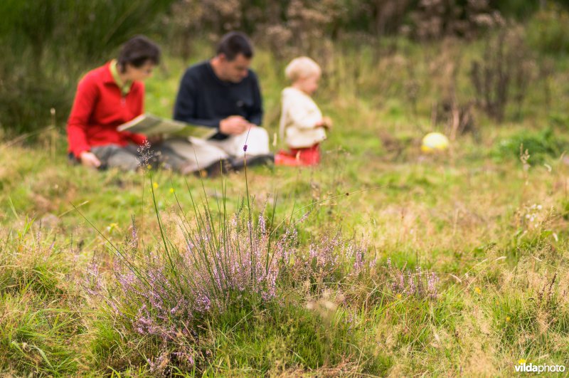 Wandelen in de Meinweg