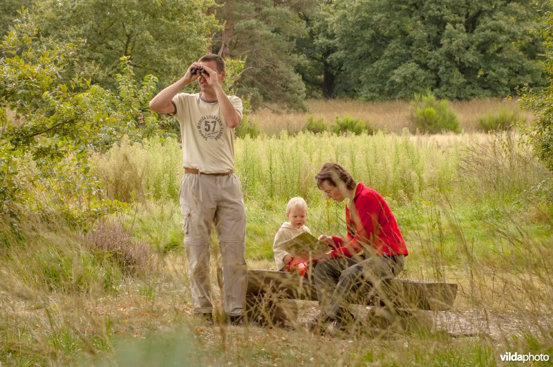Wandelen in de Meinweg
