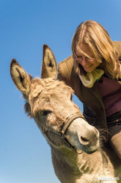 Vrouw en haar ezel