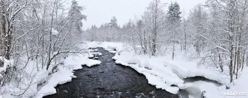 Winters riviertje