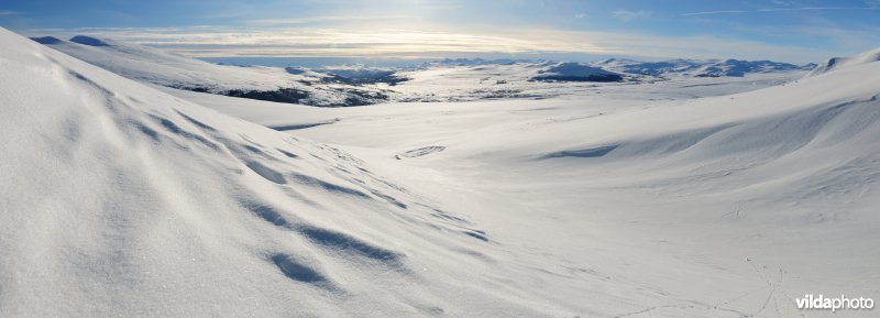 Dovrefjell