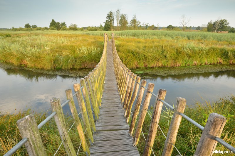 Hangbrug over de Dommel in het Hageven