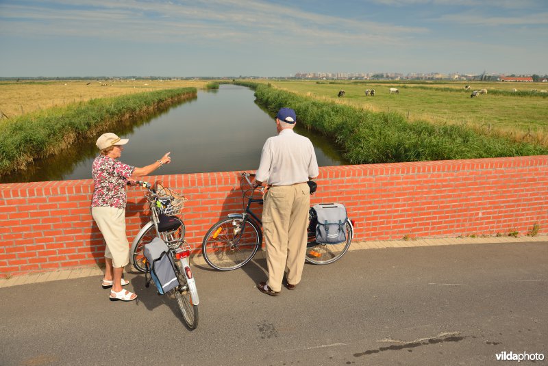 Fietsers in de Uitkerkse Polders