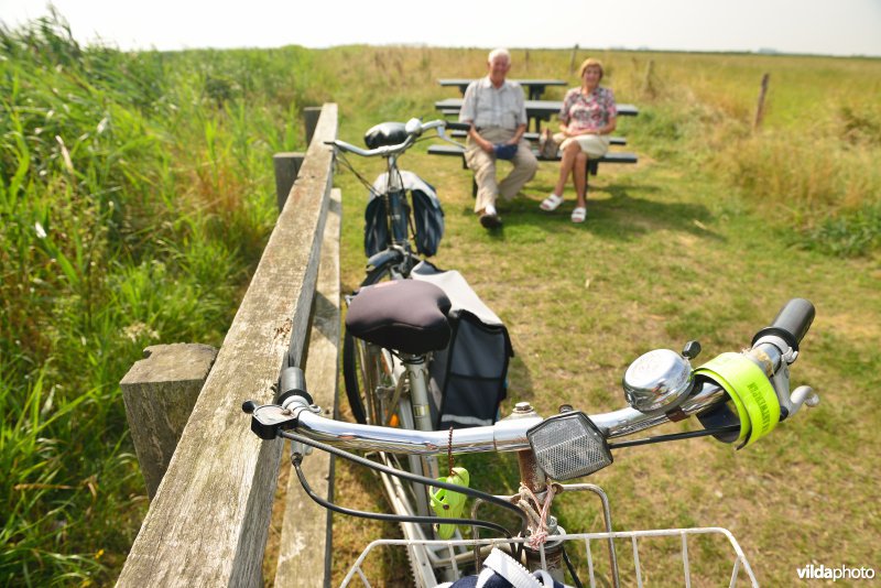 Fietsers in de Uitkerkse Polders