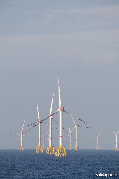 Offshore windpark C-Power