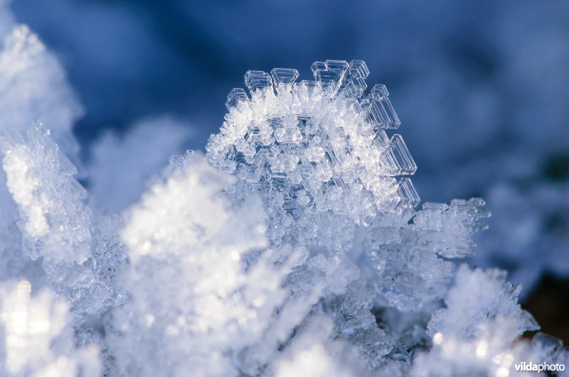 Close-up van een sneeuwvlok