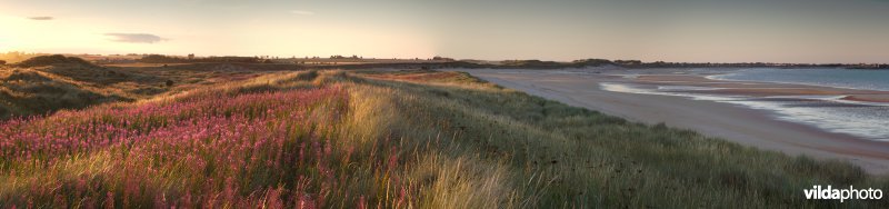 Zonsondergang boven de duinen