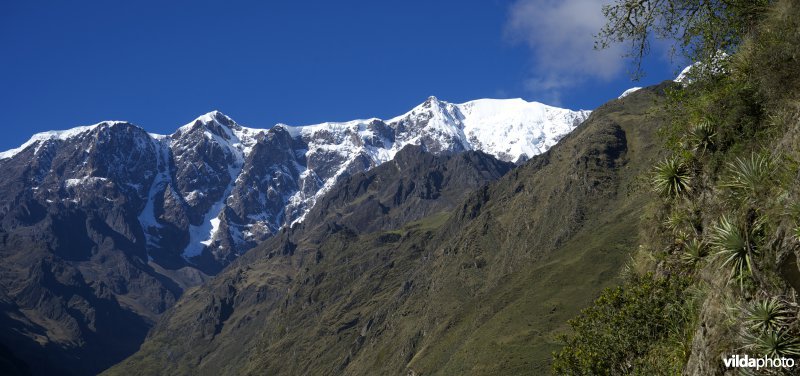 Berglandschap in de Andes met de Illimani in de achtergrond