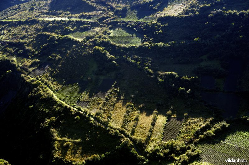 Kleinschalige landbouw met aardappelvelden in de hoge Andes