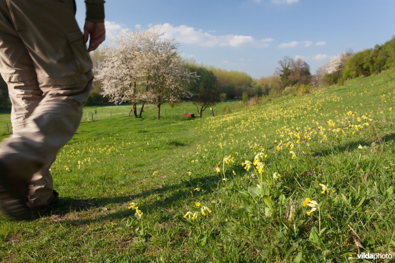 Wandelaars in een natuurgebied