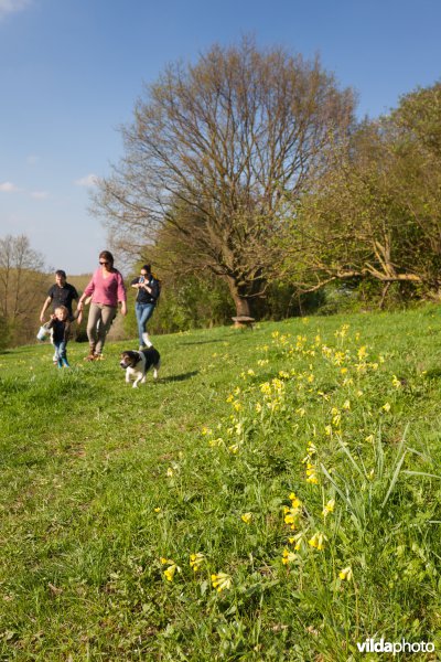 Wandelaars in een natuurgebied