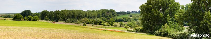 Zicht op de vallei van de Menebeek