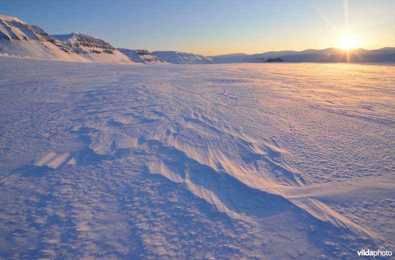 IJsvlakte in Spitsbergen