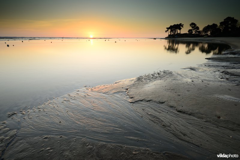 Strand van Arcachon