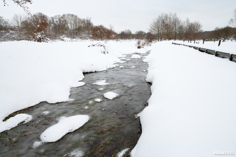 Sneeuw in de Doode Bemde