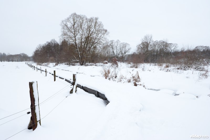 Besneeuwd plankenpad