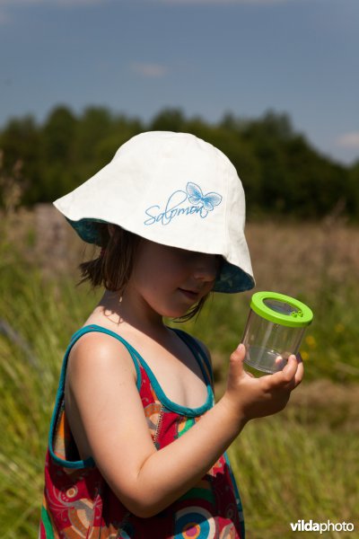 Meisje bestudeert een vlinder