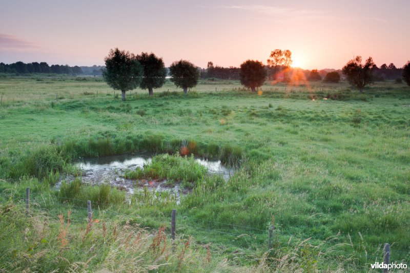 Bomkrater in het Mechels broek